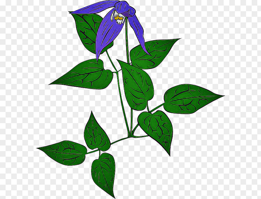 Flower Leaf Plant Stem PNG