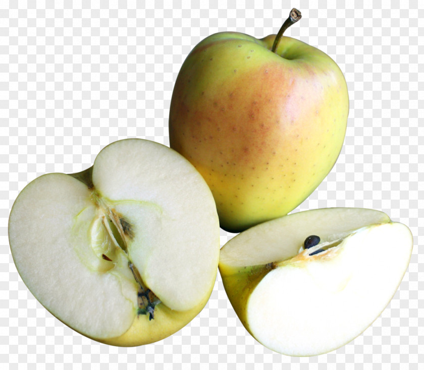 Green Apple With Slices Clip Art PNG