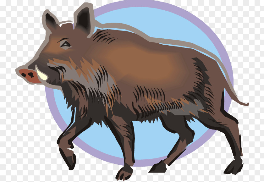 Pig Wild Boar Common Warthog Clip Art PNG