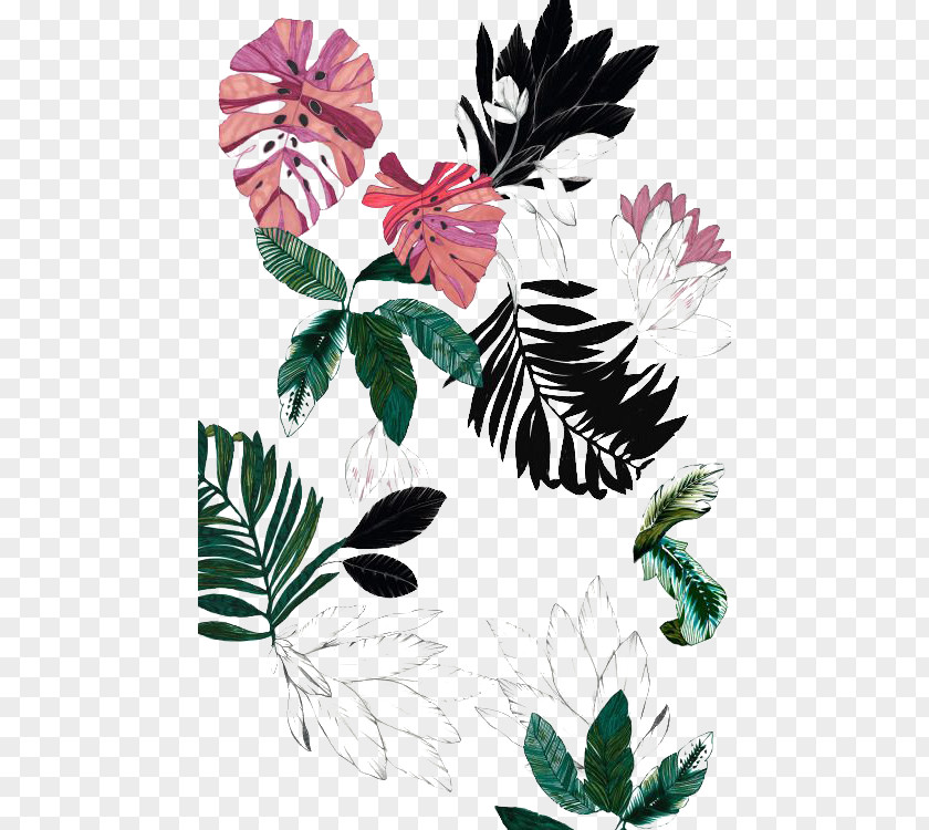 Plant Flower Drawing Wallpaper PNG