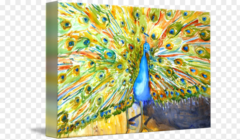 Watercolor Peacock Modern Art Painting Abstract PNG