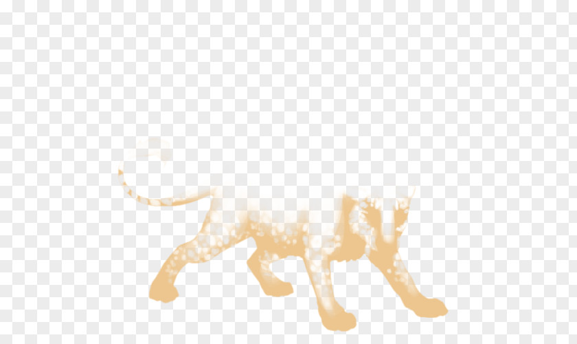 Cat Lion Dog Canidae Mammal PNG