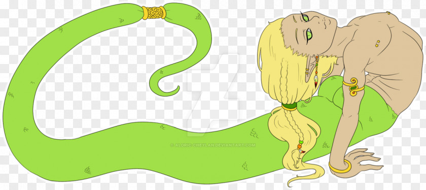 Contortionist Mammal Amphibian Reptile Clip Art PNG