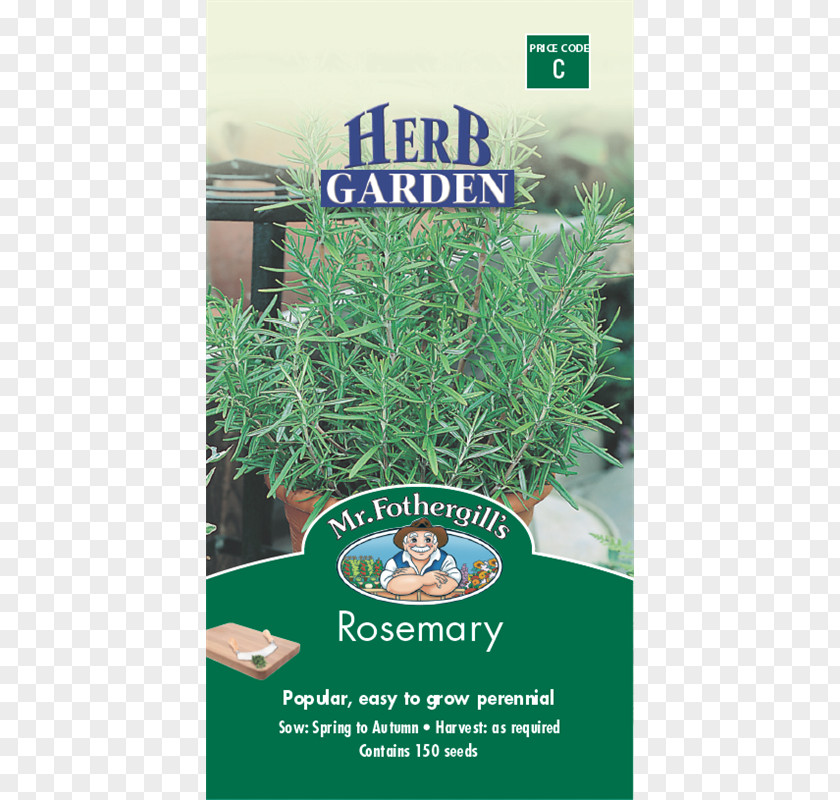Rosemary Plant Herb Seed Tarragon Spice PNG
