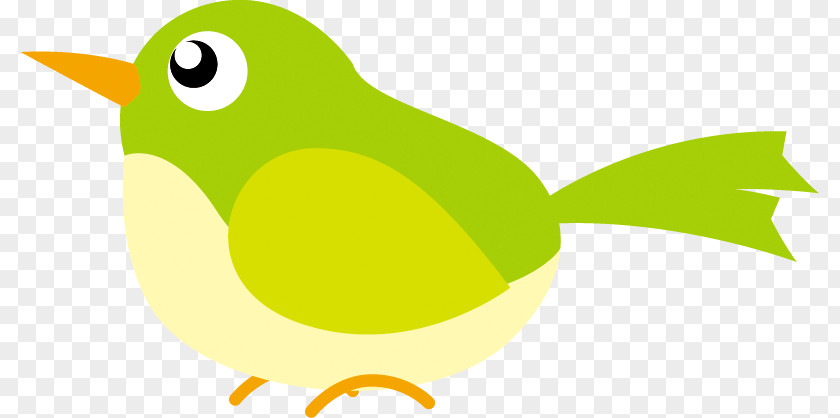 Bird Illustration. PNG