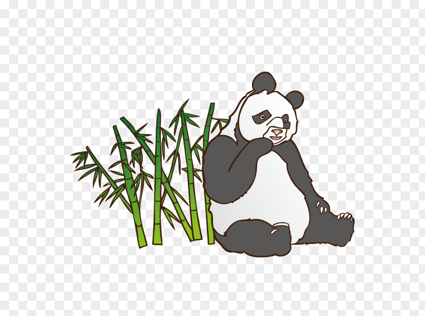 Cartoon Panda Giant Image Music Download Vector Graphics PNG