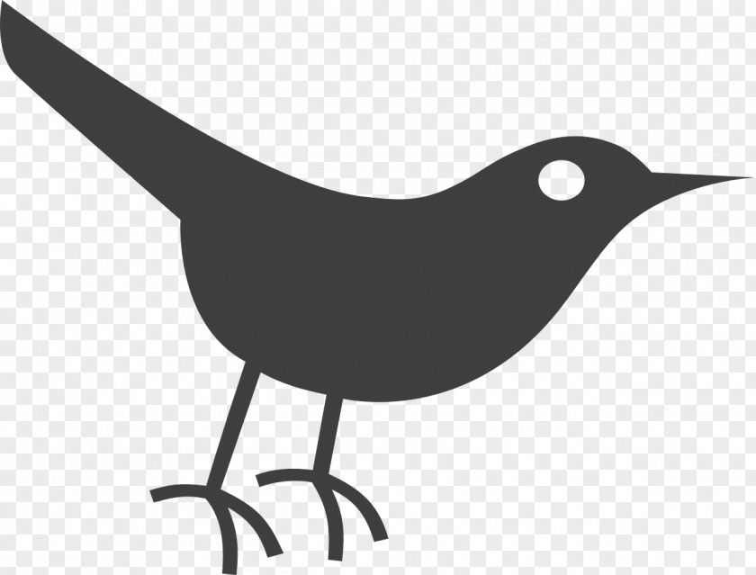Crow Bird Social Media Clip Art PNG