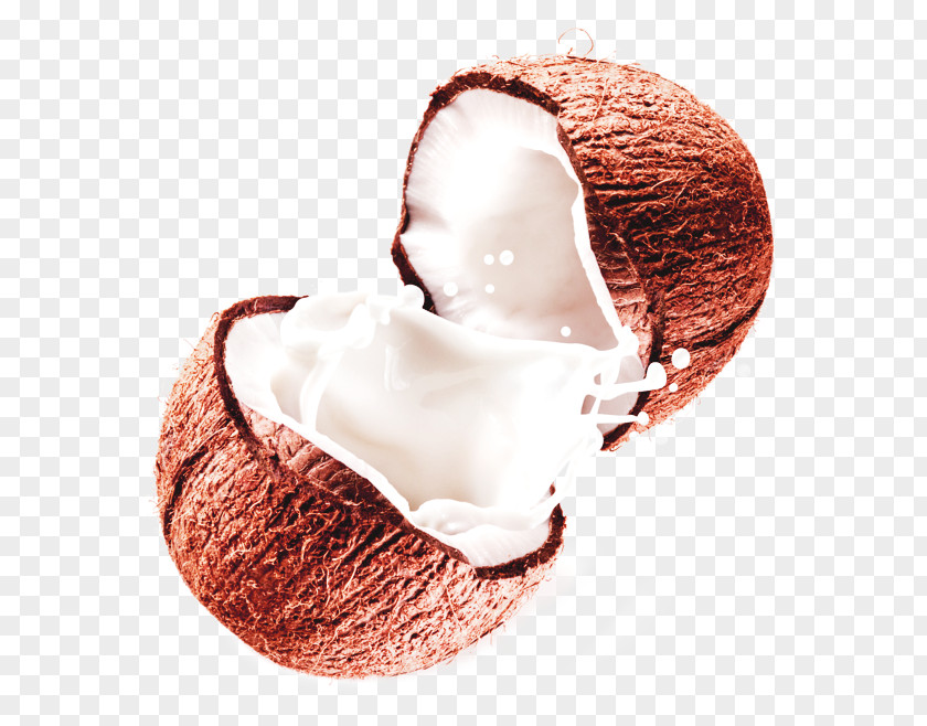 Delicious Coconut Milk Organic Food Water PNG