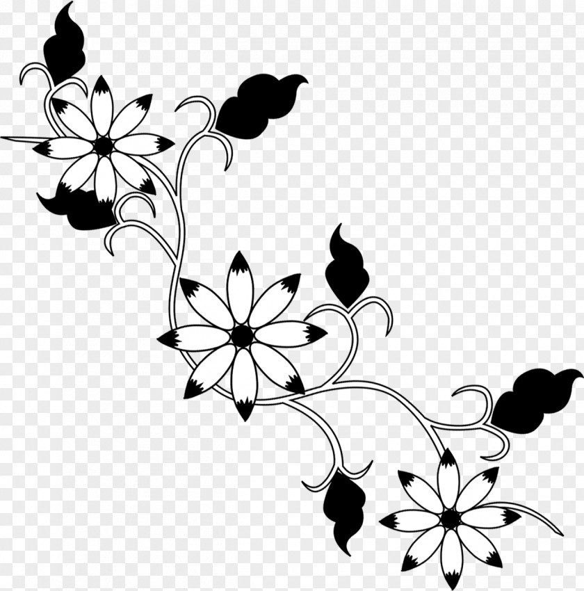 Exquisite Design Adobe Photoshop Image Pattern PNG