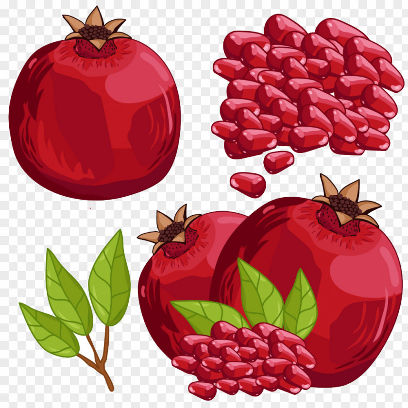 Hand-painted Pomegranate Juice Fruit Illustration PNG
