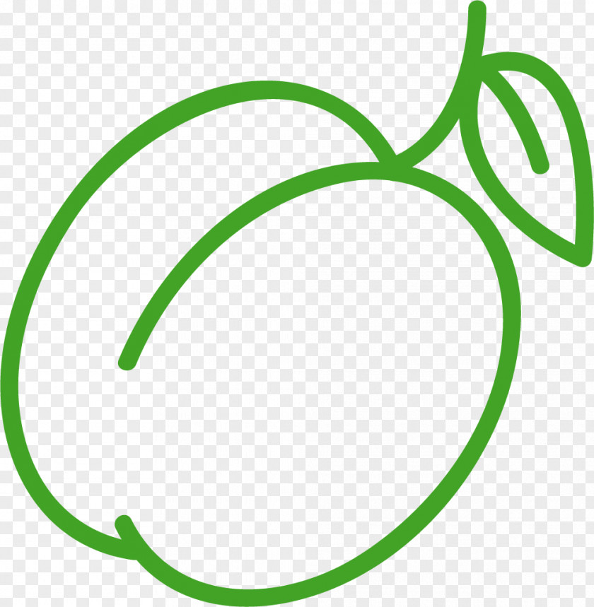 Hand Painted Yellow Peach Fruit PNG