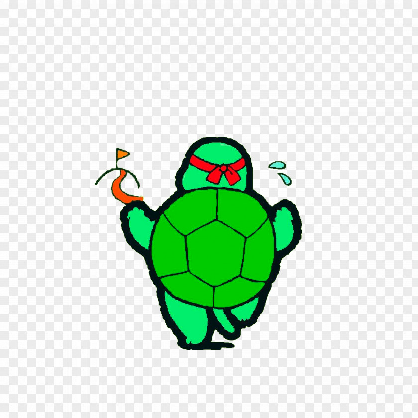 Little Turtle Race Raster Graphics PNG