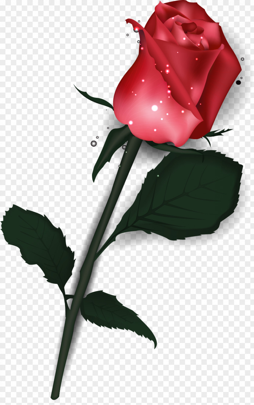 Parasol Rose Valentine's Day Heart Poster PNG