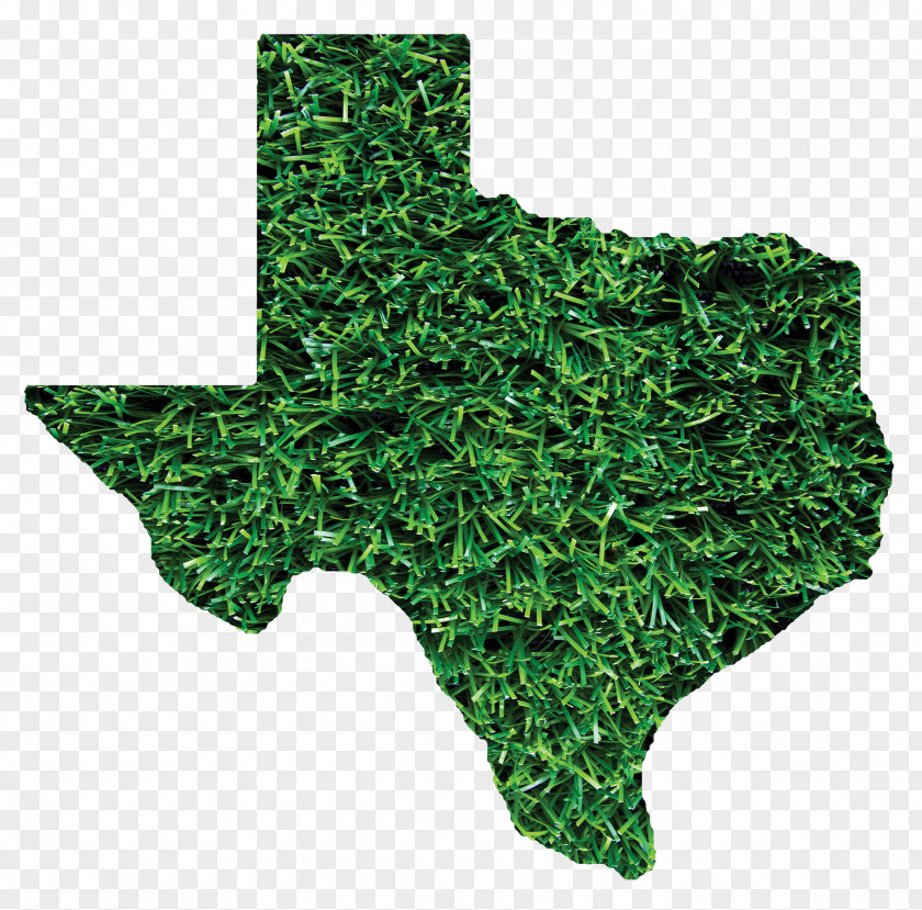 Turf Austin Sprinturf, LLC Company Public Utility Commission Of Texas Service PNG