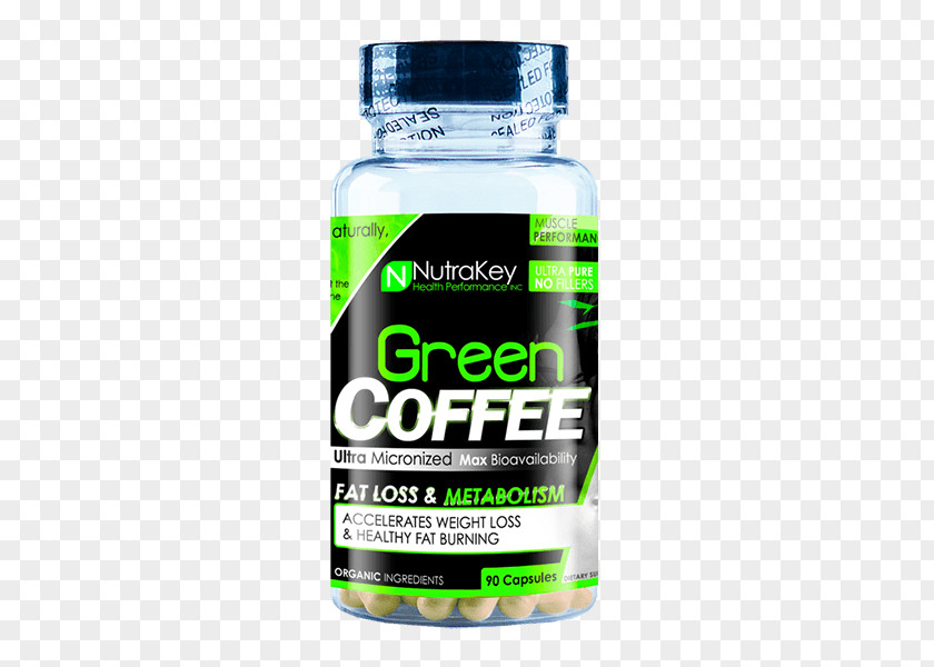 Green Coffee Bean Ginkgo Biloba Dietary Supplement Health NutraKey Nutrition PNG