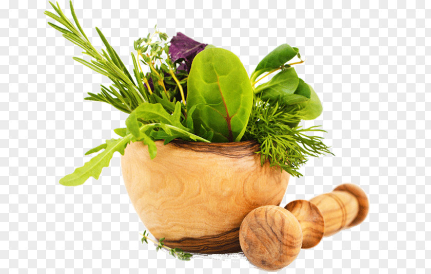 Health Herbalism Food Thai Cuisine PNG