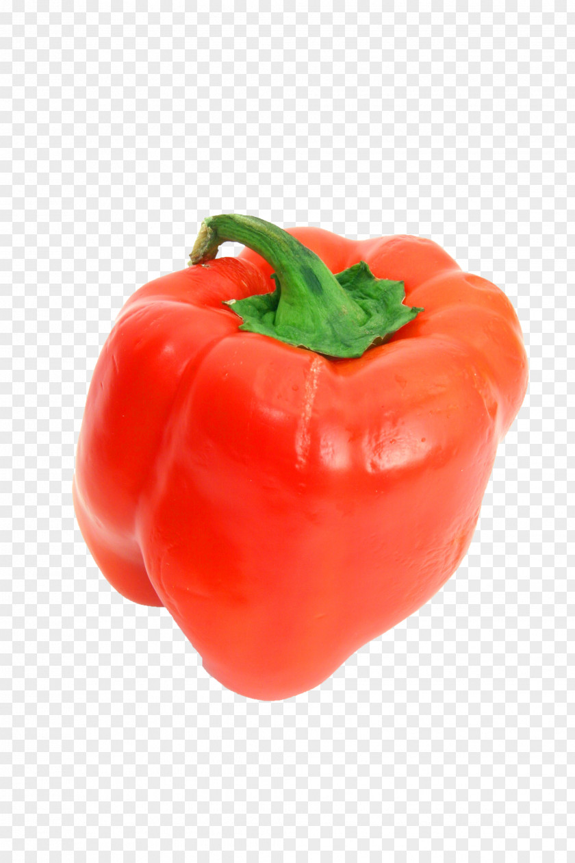 Plant Paprika Bell Pepper Pimiento Red Natural Foods Peppers And Chili PNG