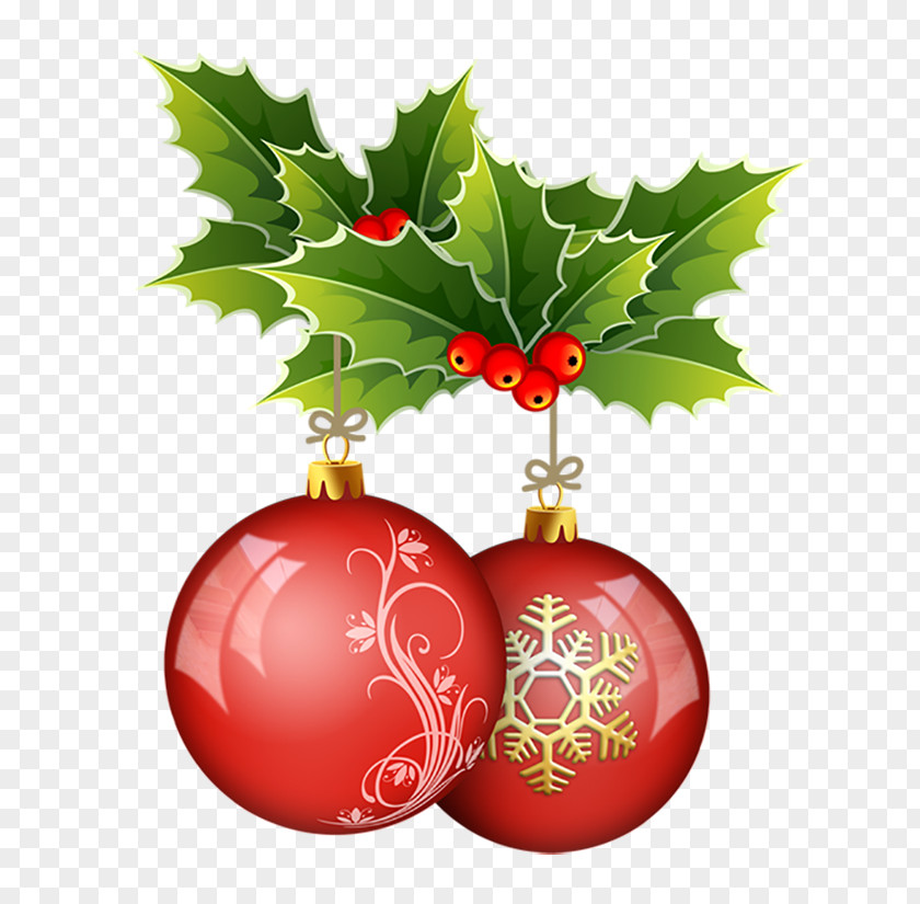 Christmas Ornament Common Holly SO2 Distribuzione Vini Naturali Carol PNG