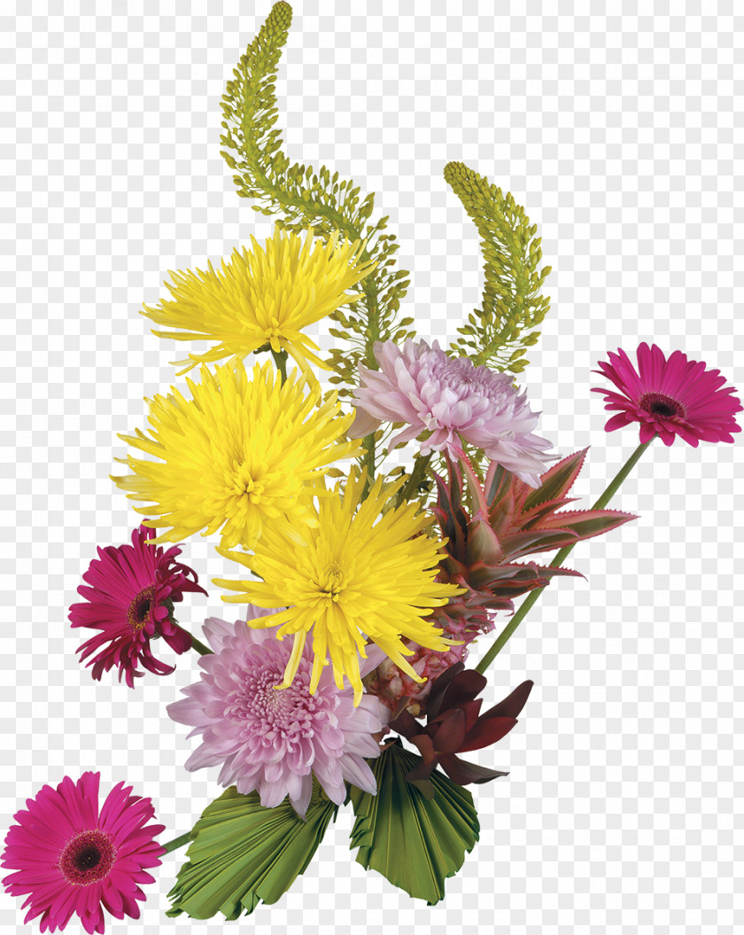 Chrysanthemum Flower Painting Blog Clip Art PNG