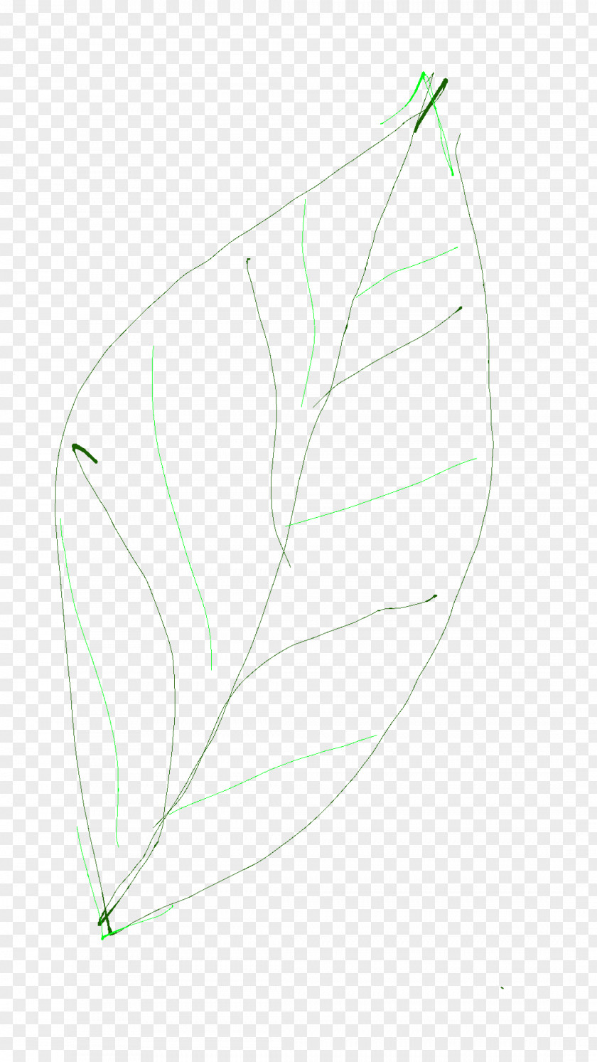 Line Product Design Leaf Angle PNG