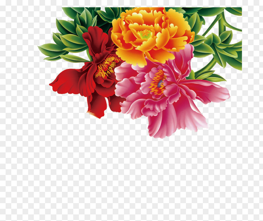 Peony Moutan U30dau30f3u7fd2u5b57 Ink Brush PNG