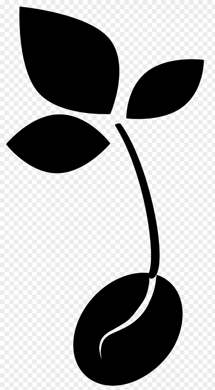 Plant Symbol Black-and-white Line Font Art PNG