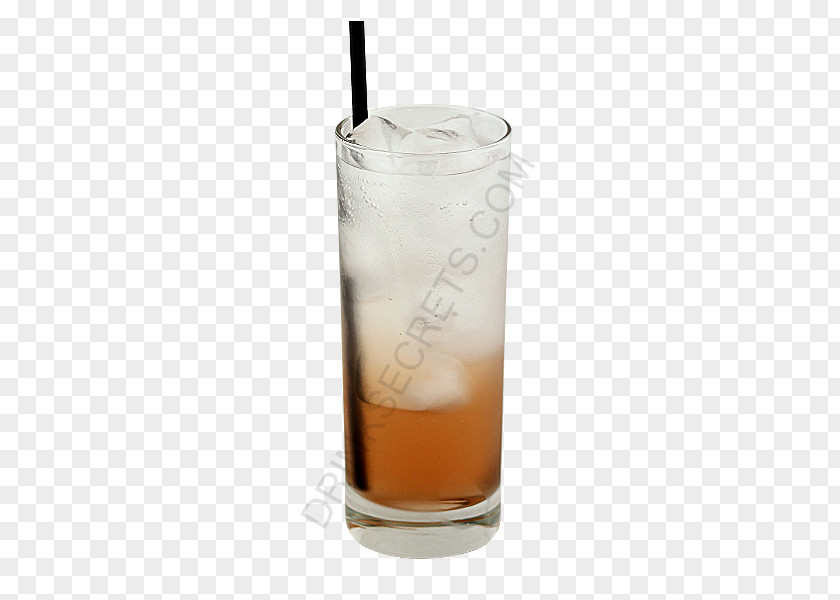 Sea Breeze Harvey Wallbanger Orange Drink Non-alcoholic Highball Glass PNG