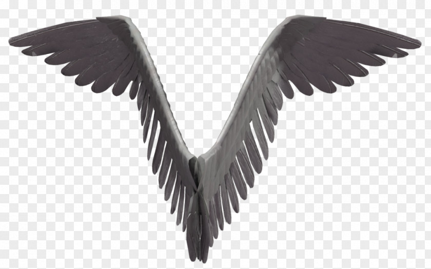 Angel Wings Bird Wing Feather Poser Beak PNG