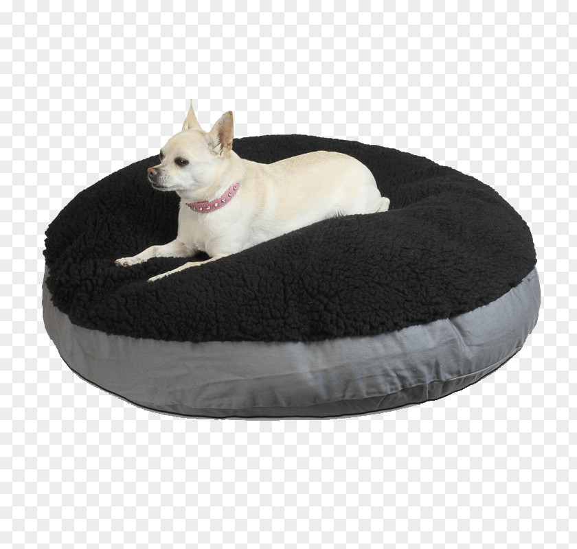 Bed Whiskers Dog 0 Snout PNG