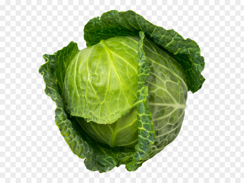 Brussels Sprout Collard Greens Vegetables Cartoon PNG