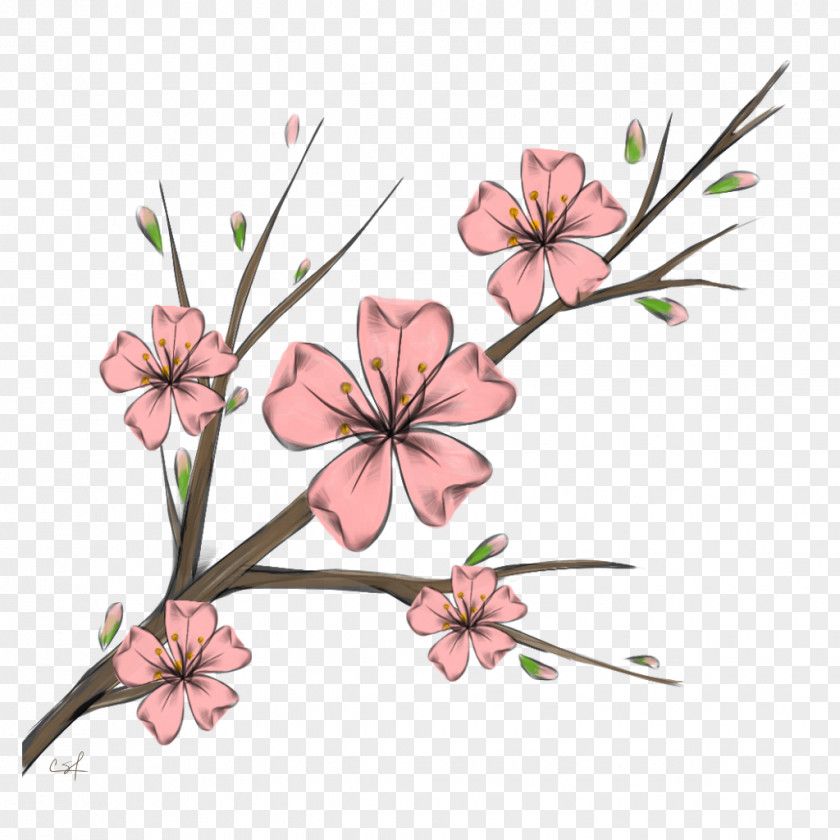 Cherry Blossom Cherries BTS Floral Design PNG