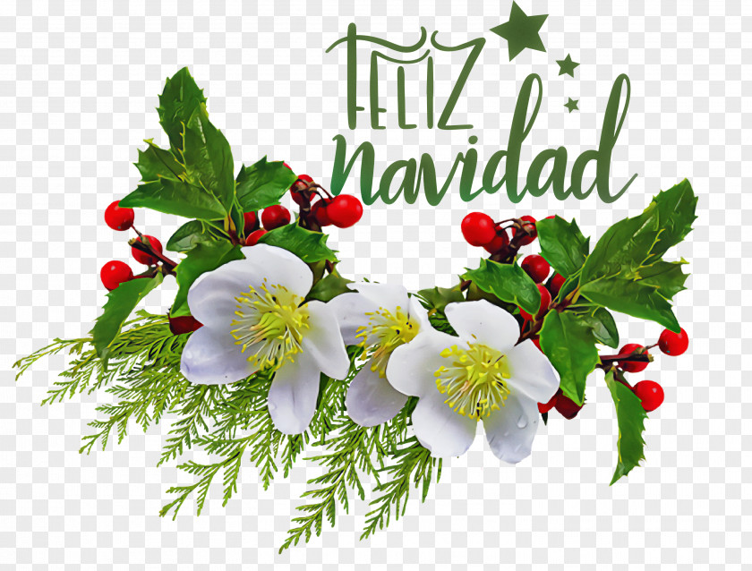 Feliz Navidad Merry Christmas PNG