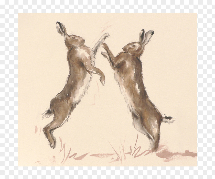 Hare Christmas Card Boxing Wildlife PNG