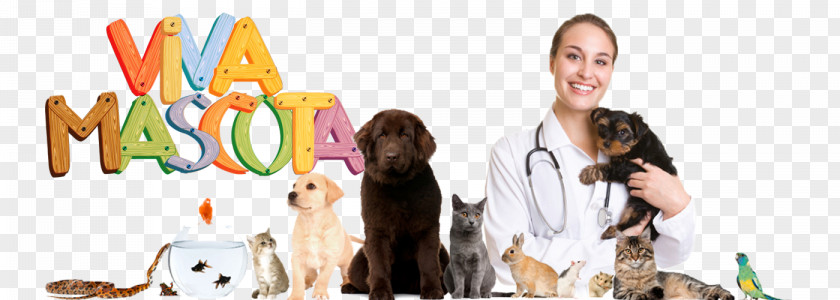 MASCOTA Human Behavior Shoe Glucosamine Recreation Veterinarian PNG