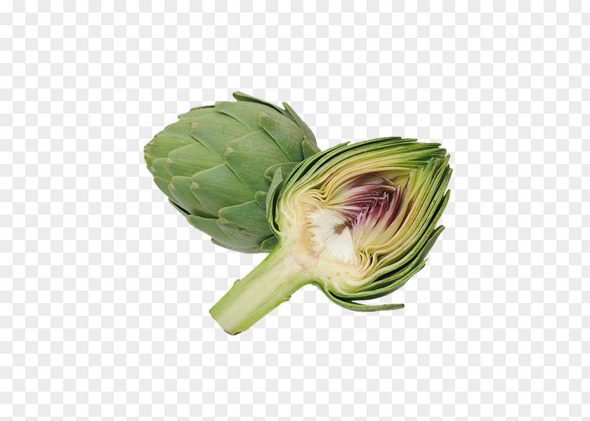 Vegetable Vegetarian Cuisine Jewish Artichoke Leaf PNG