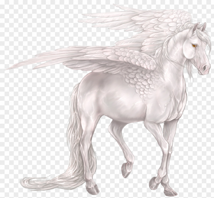White Unicorn Pegasus Horse Centaur Legendary Creature PNG