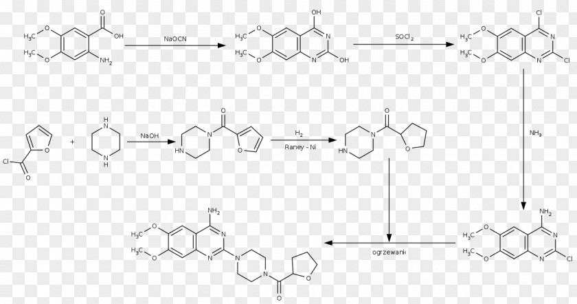 Zona Pellucida Pictet–Spengler Reaction Chemistry Sodium Hydroxide Dimethylformamide Chemical PNG