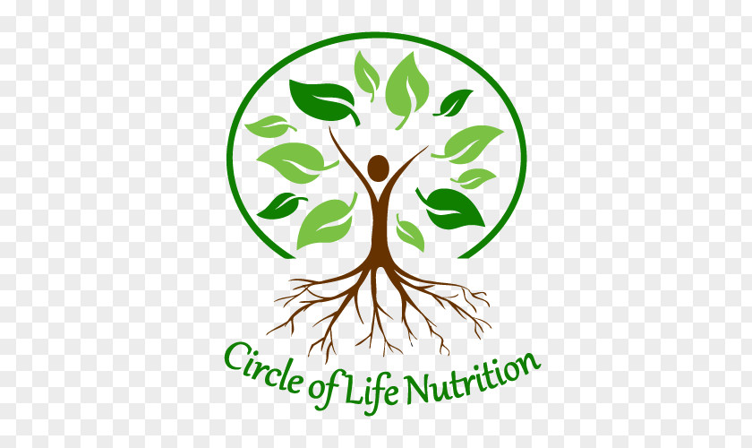 Circle Of Life Plant Stem Root Leaf Clip Art PNG