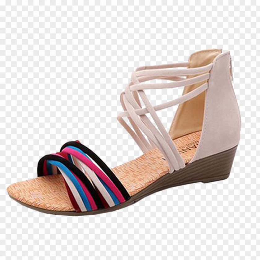 Summer Sandals Sandal Shoe Flip-flops Wedge Absatz PNG