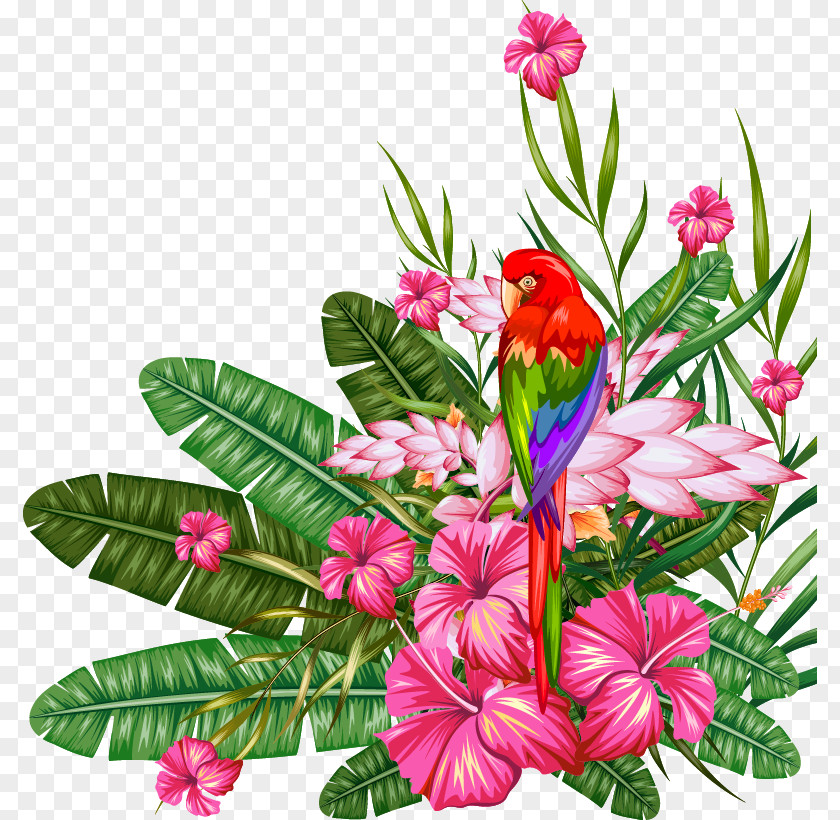 Tropical Plant Material Forest Tropics Clip Art PNG