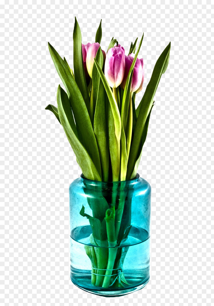 Floral Flower Ornaments Bouquet Vase Tulip Ornament PNG