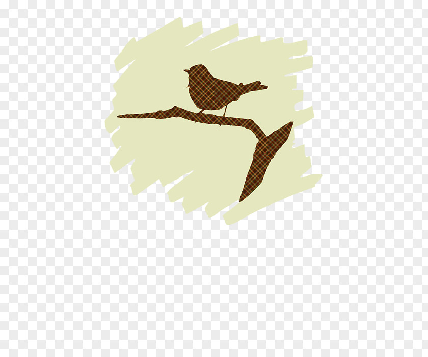 Bird Sillohuette Eagle Beak PNG