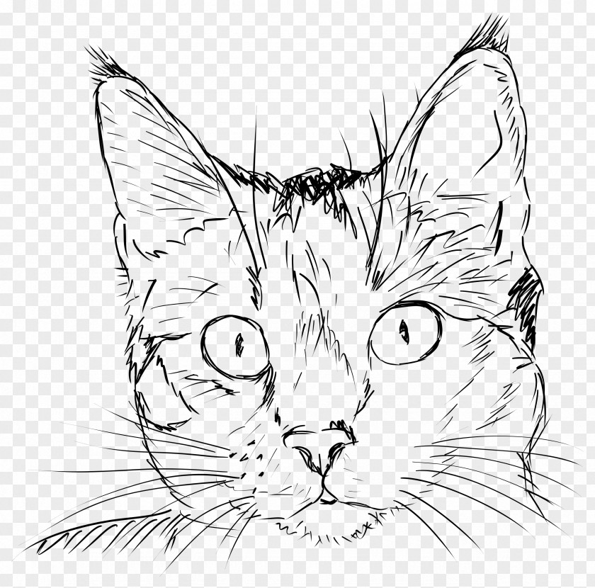 Cat Face Drawing Kitten Line Art PNG