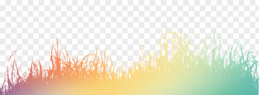 Color Grass Silhouette Light Wallpaper PNG