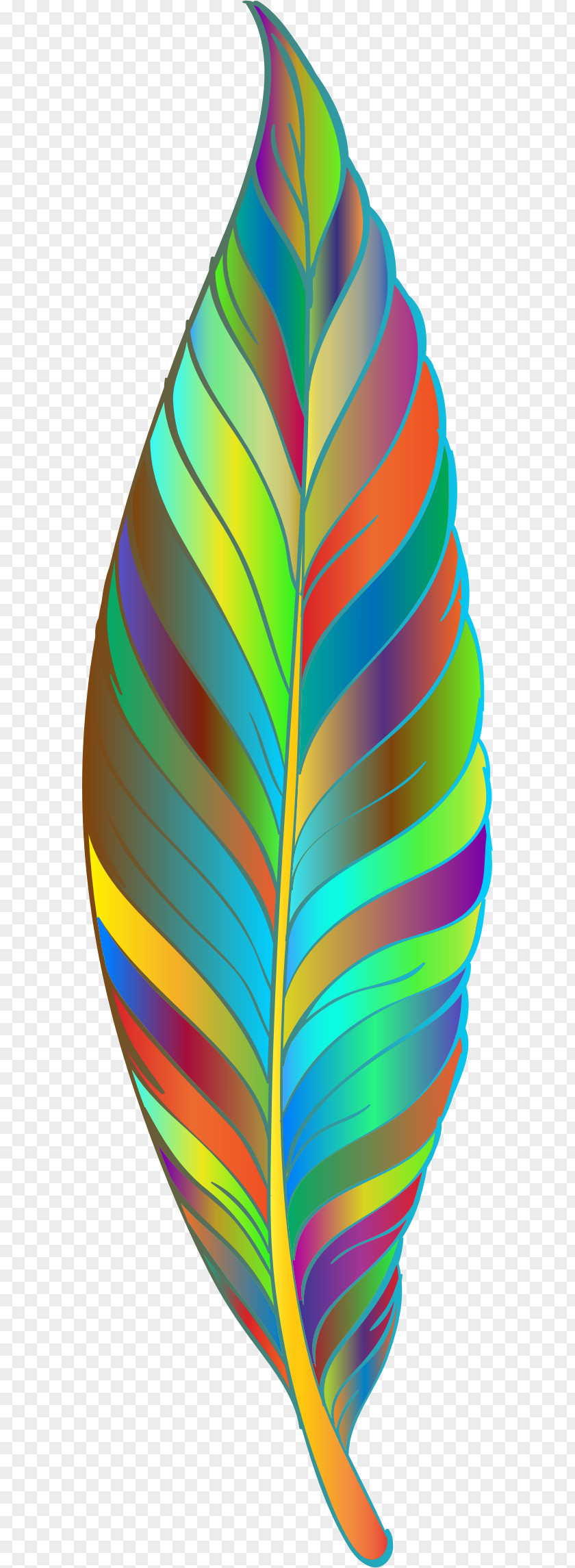 Feather Clip Art PNG