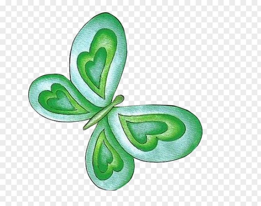 Green Butterfly Paper Drawing Moth PNG