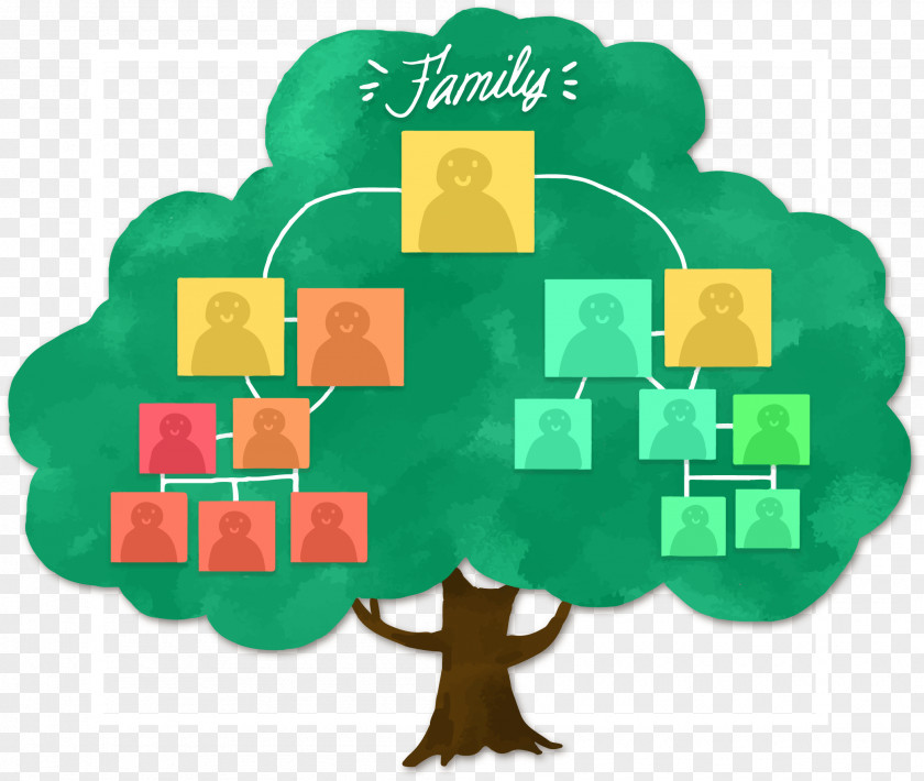 Hand Painted Family Tree Structure PNG