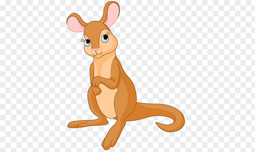 Kangaroo Clip Art Baby Kangaroos Image Illustration PNG