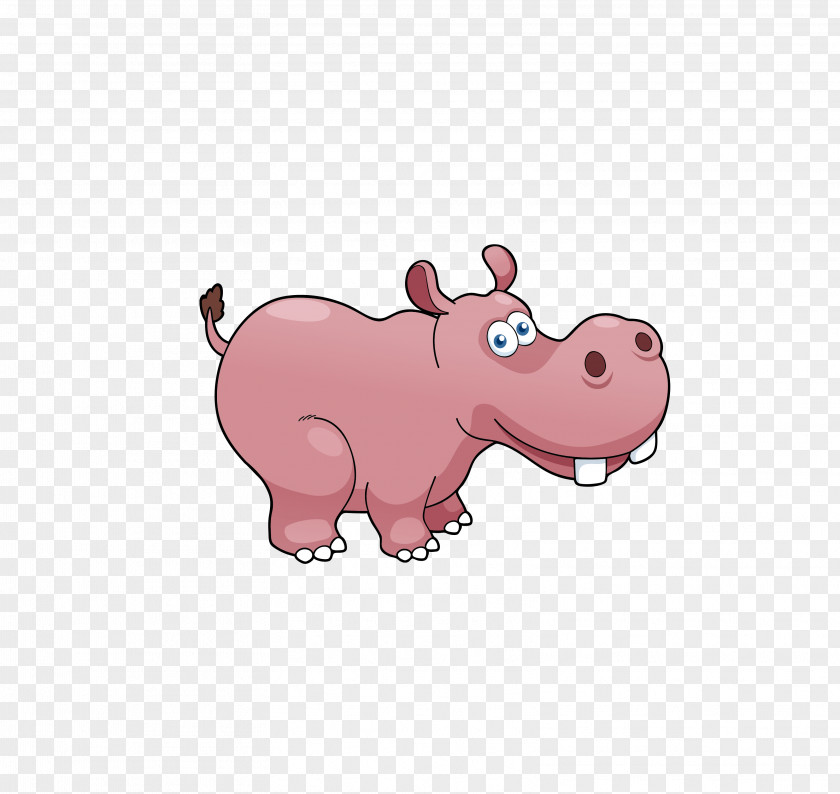 Cartoon Hippo Domestic Pig Hippopotamus Animal Animation PNG