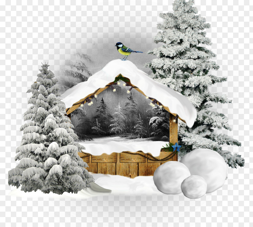 Snow Winter Desktop Wallpaper PNG